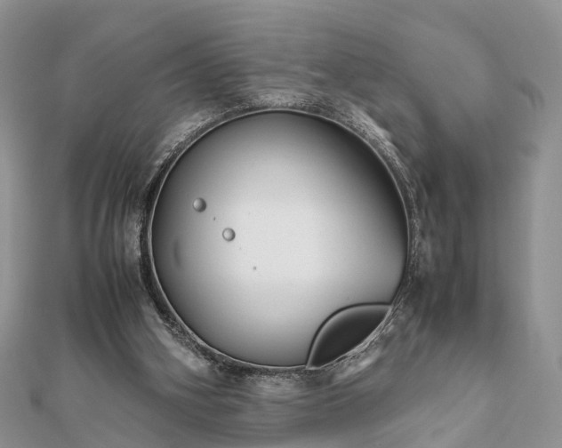 X0000111840106200907301058