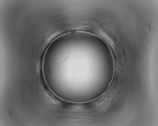 X0000111840107200907301058