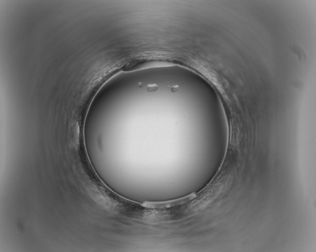 X0000111840109200907301058