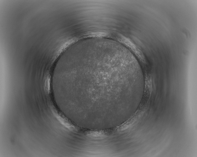 X0000111840110200907301058