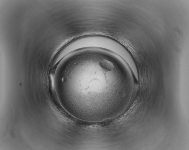 X0000111840112200907301058