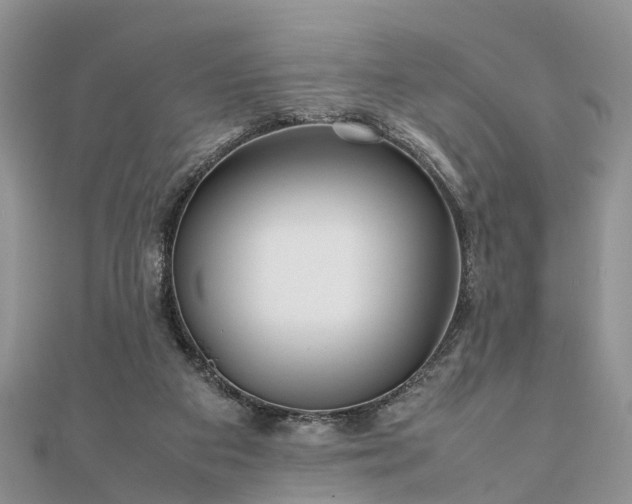 X0000111840113200907301058