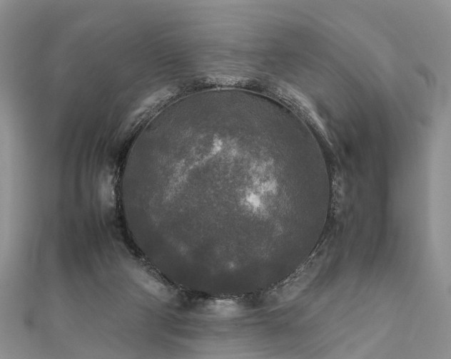 X0000111840114200907301058