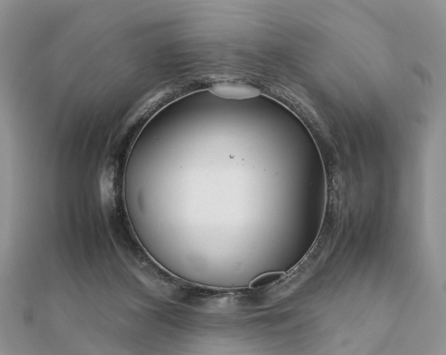 X0000111840116200907301058