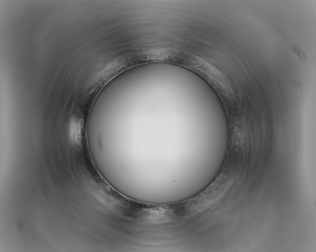 X0000111840118200907301058