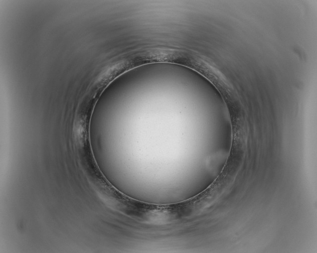 X0000111840119200907301058