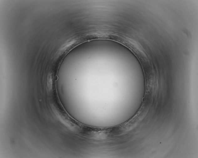 X0000111840120200907301058