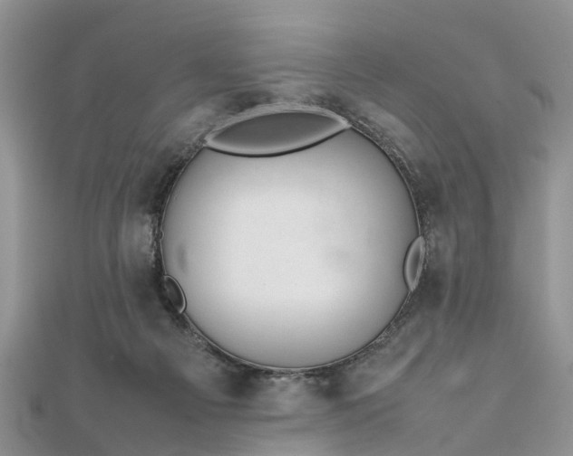 X0000111840121200907301058