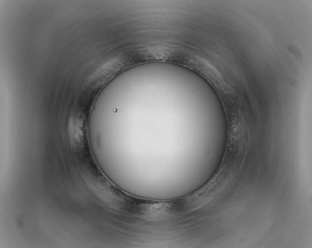 X0000111840122200907301058