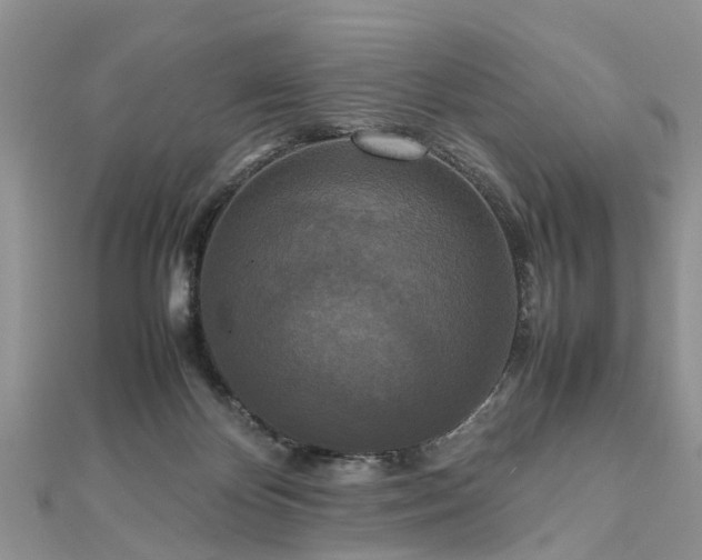 X0000111840124200907301058