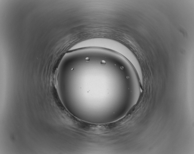 X0000111840125200907301058