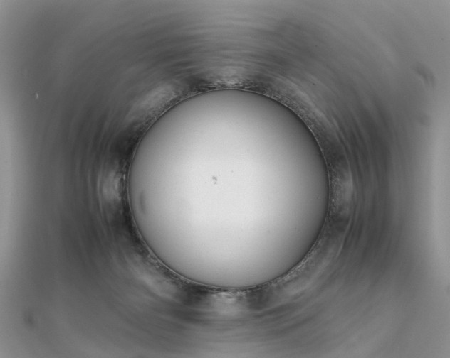 X0000111840126200907301058