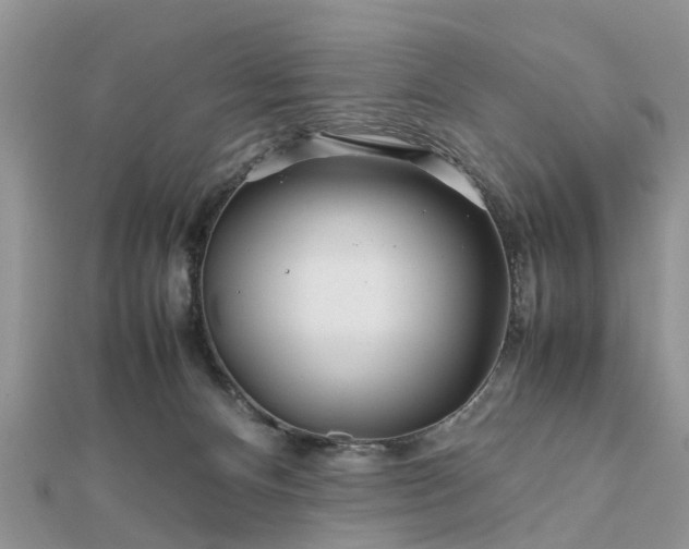 X0000111840128200907301058