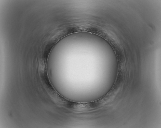 X0000111840129200907301058