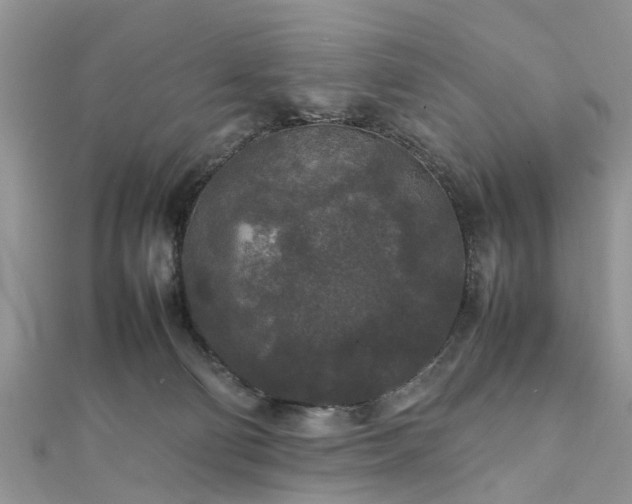 X0000111840130200907301058