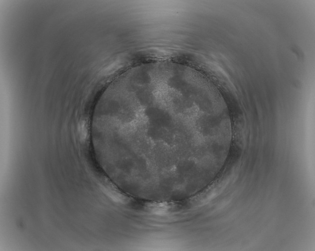 X0000111840131200907301058