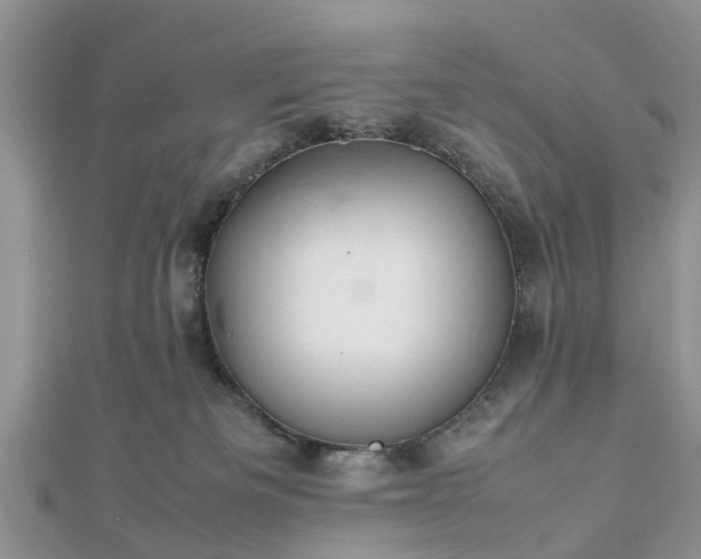 X0000111840133200907301058