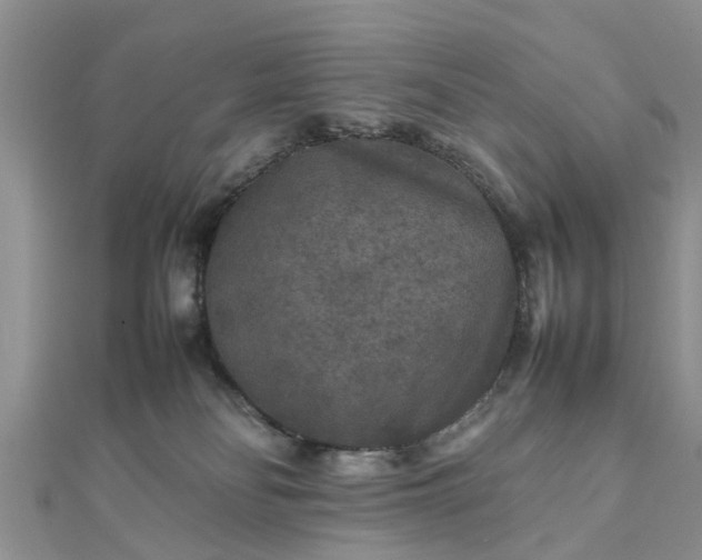 X0000111840134200907301058