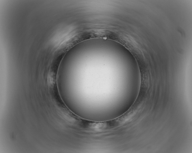 X0000111840135200907301058