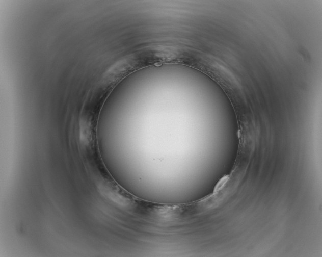 X0000111840136200907301058