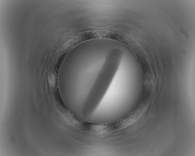 X0000111840139200907301058