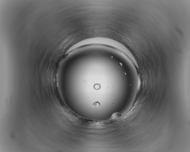 X0000111840140200907301058