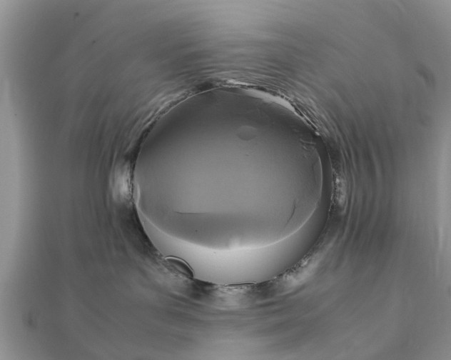 X0000111840143200907301058