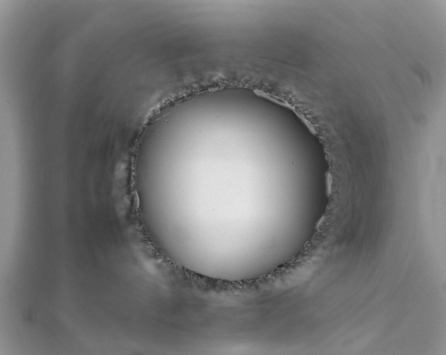 X0000111840144200907301058