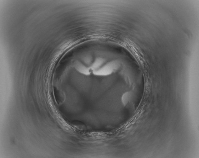 X0000111840145200907301057