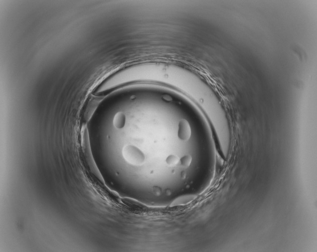 X0000111840146200907301057