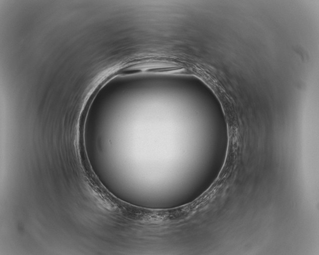 X0000111840148200907301057