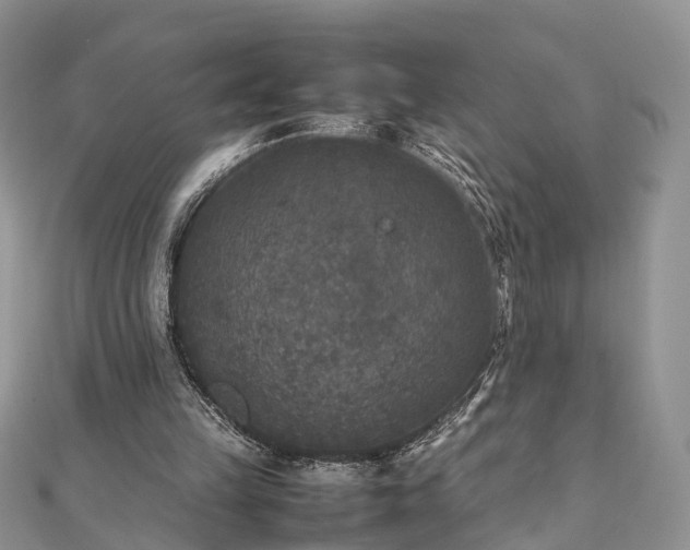 X0000111840149200907301057