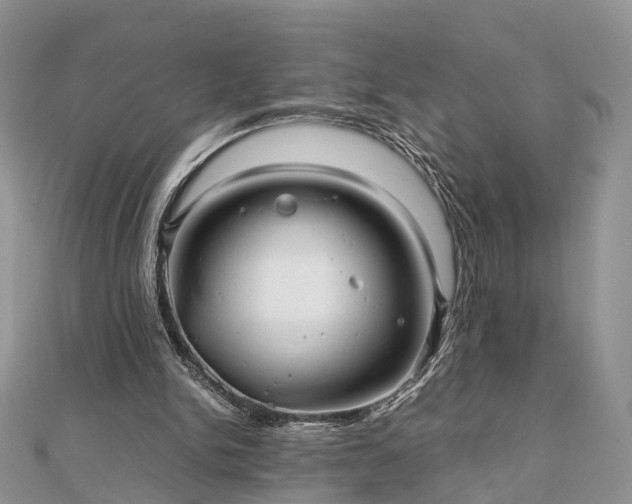 X0000111840150200907301057