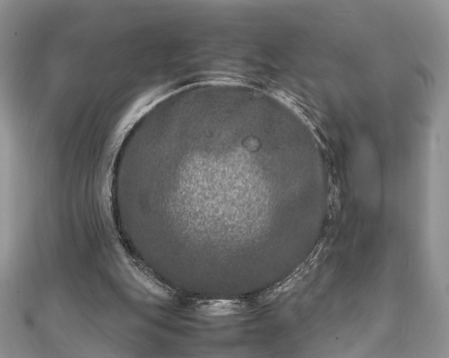 X0000111840151200907301057