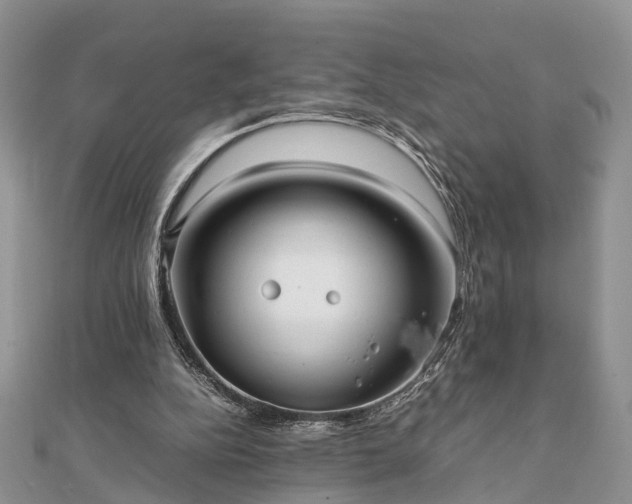 X0000111840152200907301057