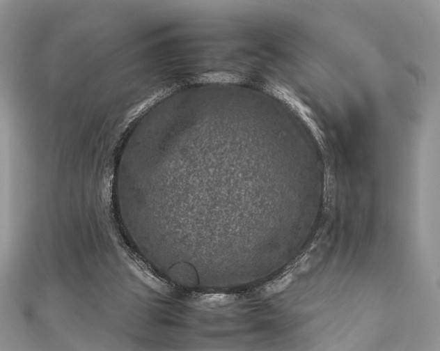 X0000111840153200907301057