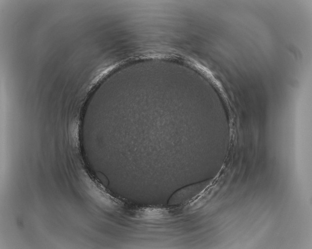 X0000111840154200907301057