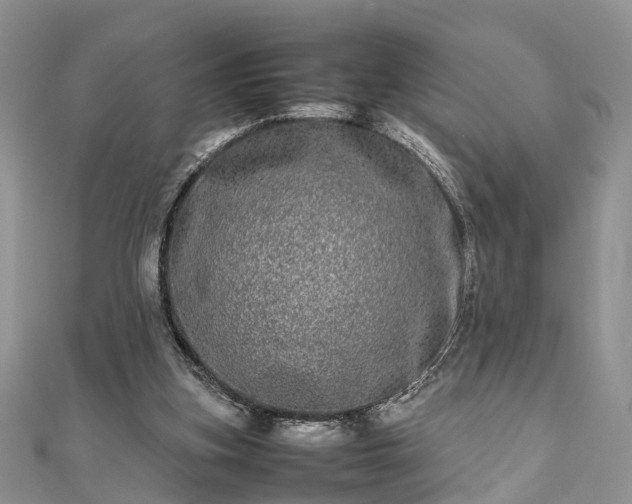 X0000111840155200907301057