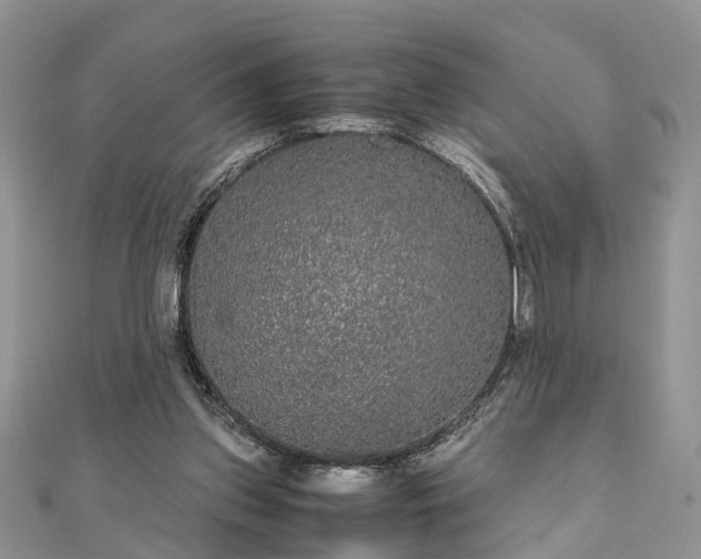 X0000111840157200907301057