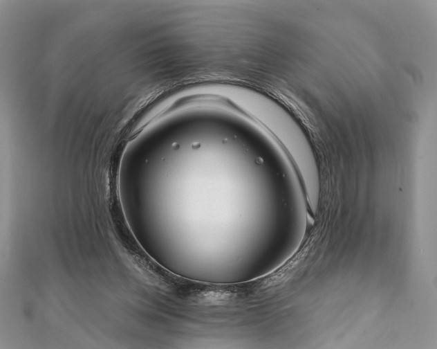 X0000111840158200907301057