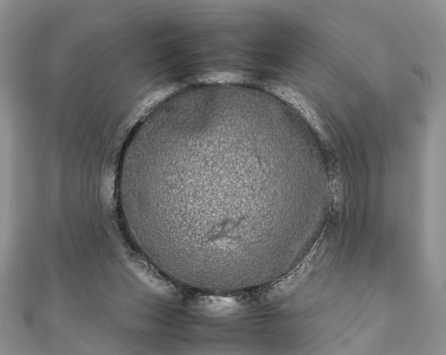 X0000111840159200907301057