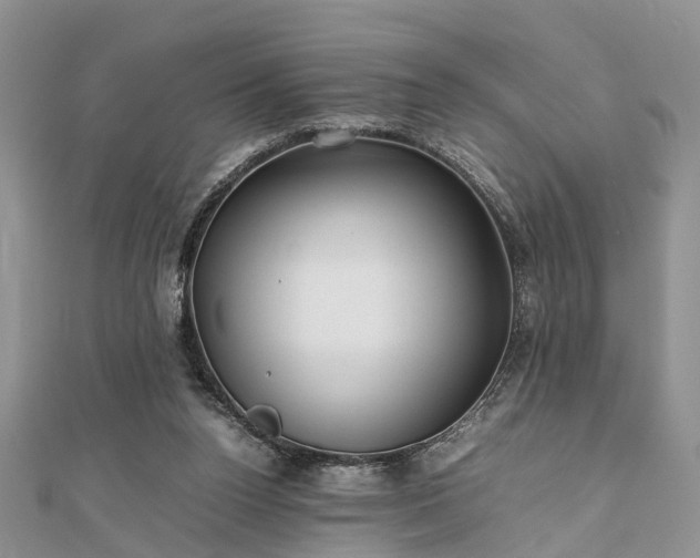 X0000111840160200907301057