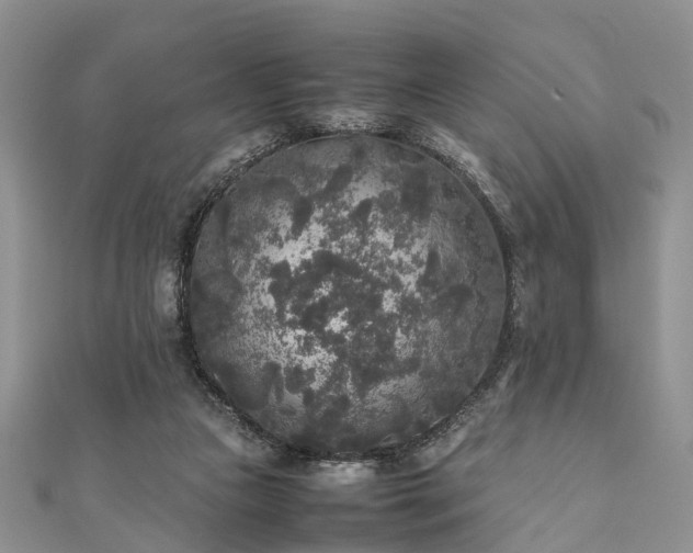 X0000111840161200907301057