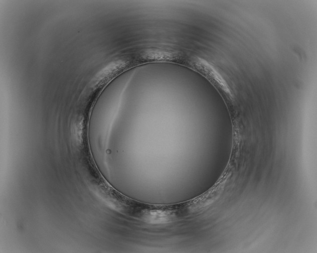 X0000111840163200907301057