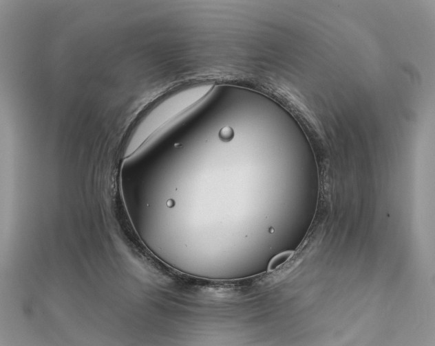 X0000111840164200907301057