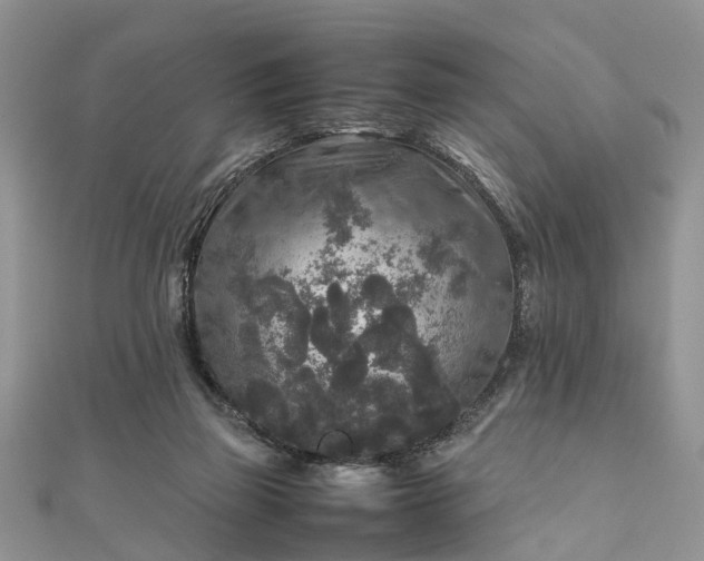 X0000111840165200907301057