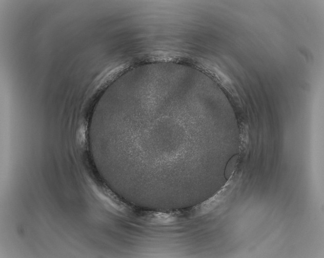 X0000111840166200907301057