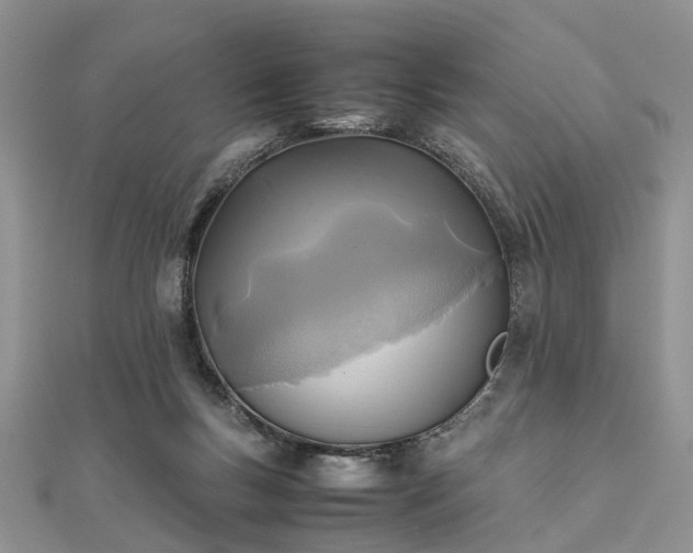 X0000111840167200907301057