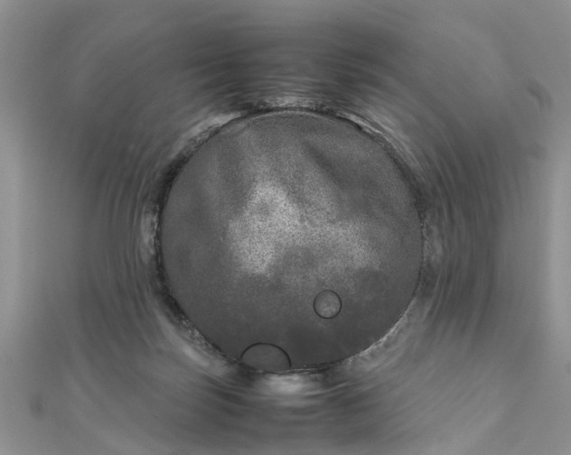 X0000111840171200907301057