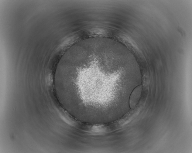 X0000111840173200907301057